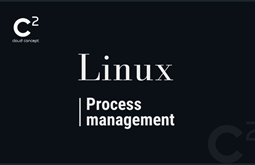 Xρήσιμες Εντολές για Process Management σε συστήματα Linux